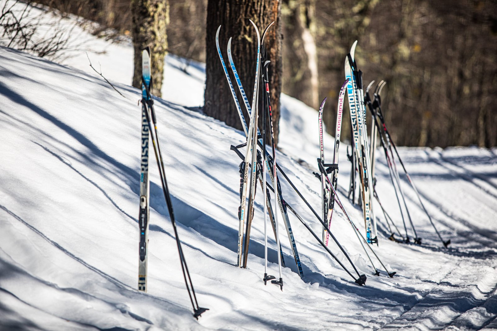 Día de Ski Nórdico
