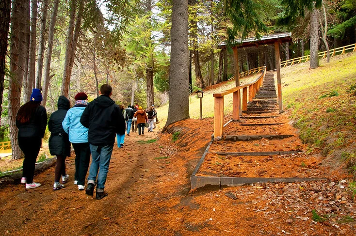Isla Victoria y Bosque de Arrayanes