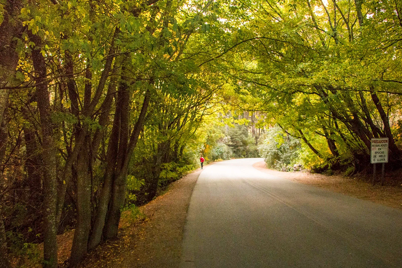 Circuito Chico + Cerro Catedral en 1 DÍA