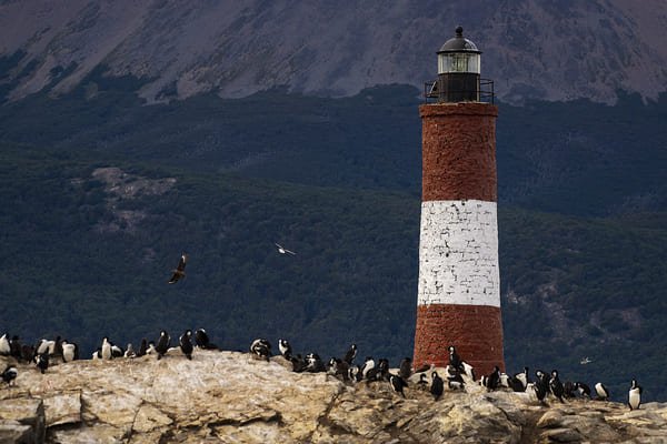 Navegación Canal de Beagle y Faro del Fin del Mundo