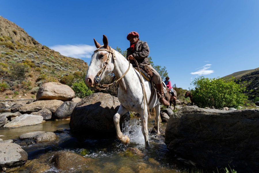 Cabalgata Experience – Cañadones y Monturas