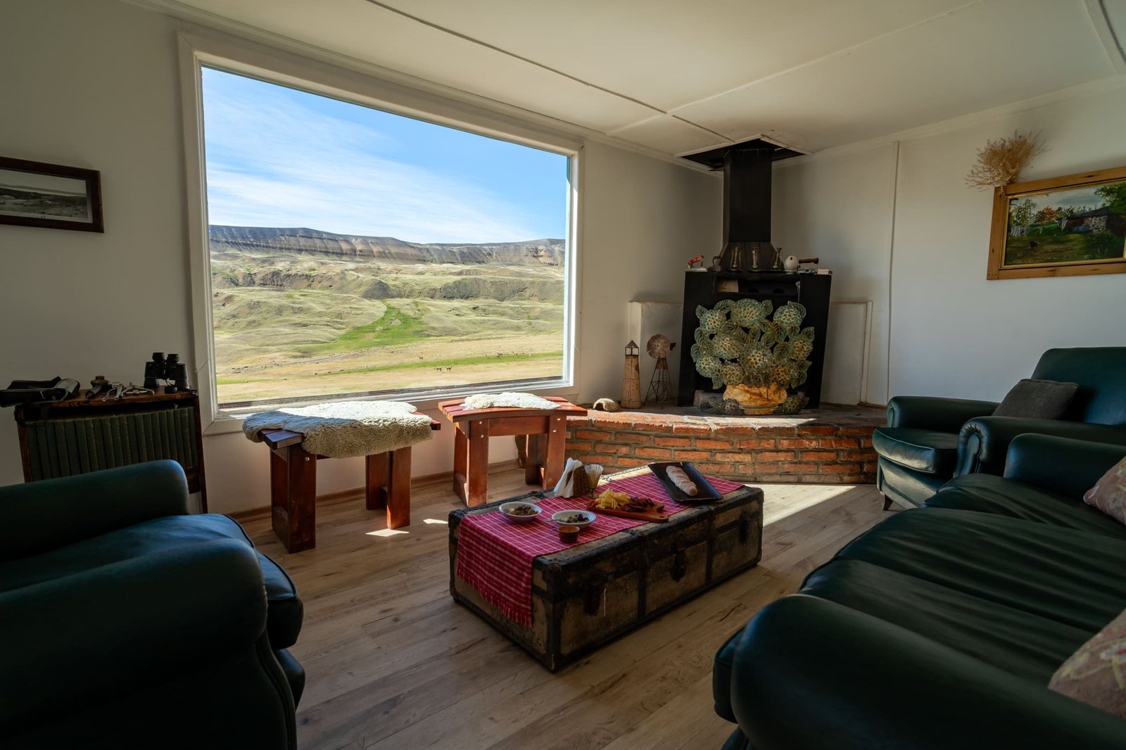 Safari Experience – Fauna y Estepa