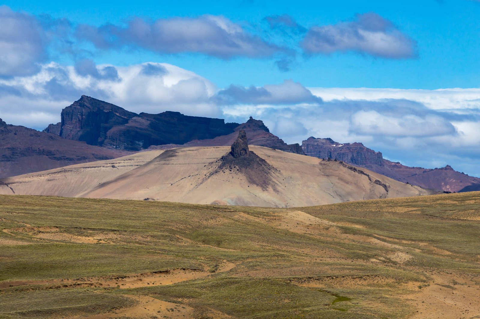 Safari Experience – Fauna y Estepa