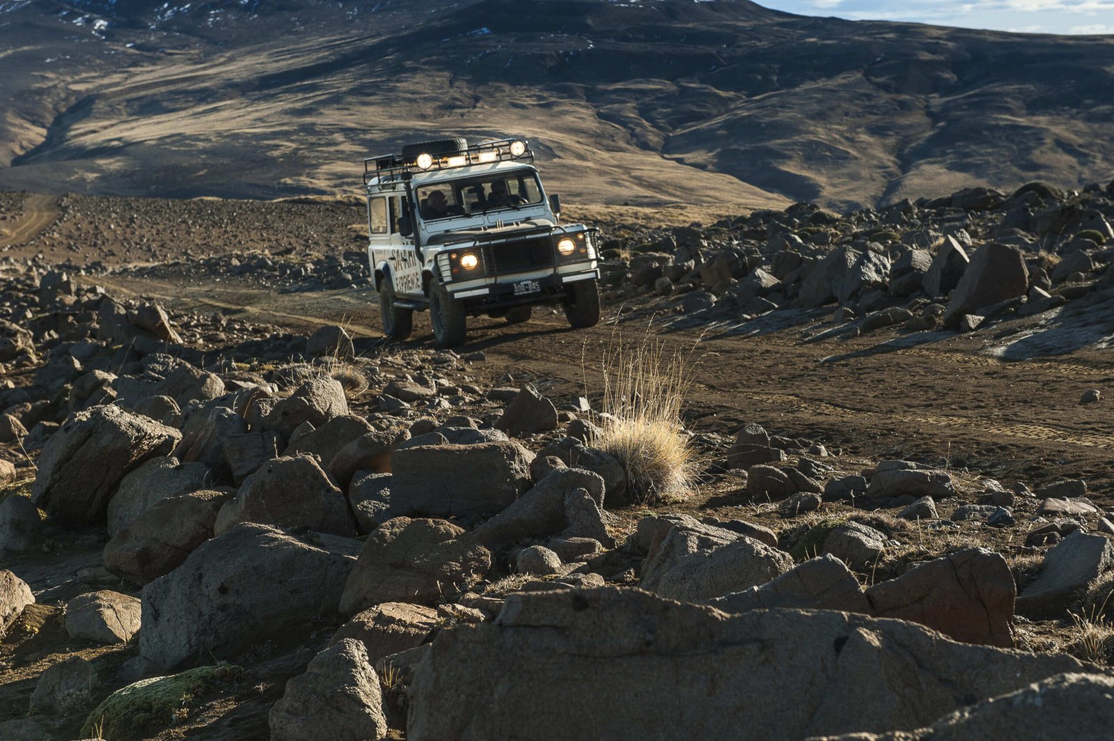 Safari Experience – Fauna y Estepa