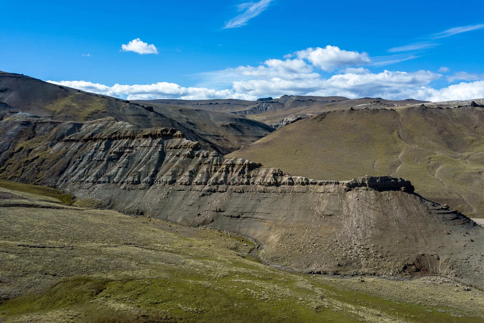 Safari Experience – Fauna y Estepa